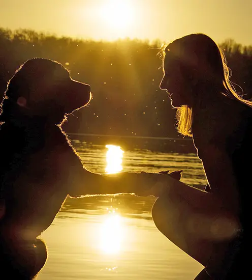 A dog and owner together at sunset by a lake depicting In Home Pet Euthanasia.