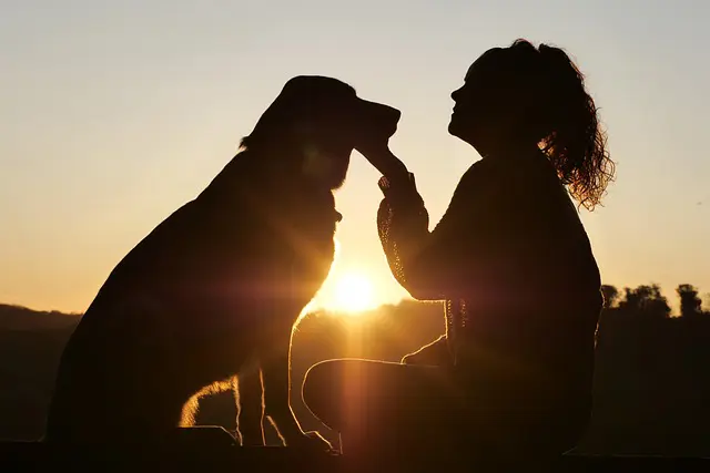 Dog and owner at sunset depicting Pet Loss Resources from Dr. Meredith’s Veterinary In-Home Euthanasia and Acupuncture LLC.